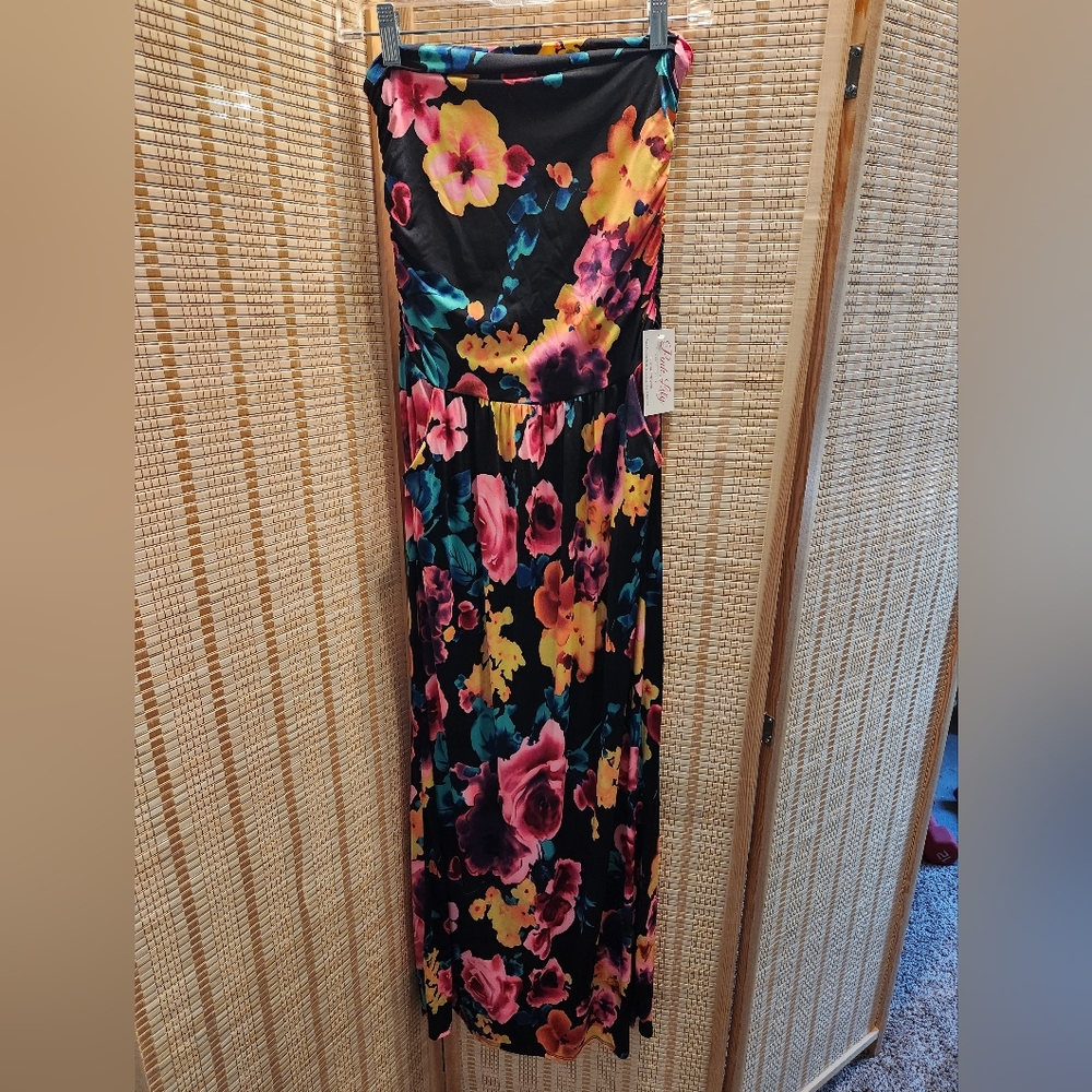 NWT Strapless Pink Lily Boutique Maxi Dress